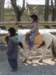 img_0863_small.jpg