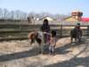 img_0869_small.jpg