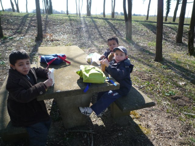 p1000031.jpg