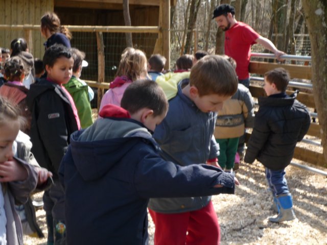 p1000042.jpg