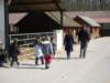 p1000048_small.jpg