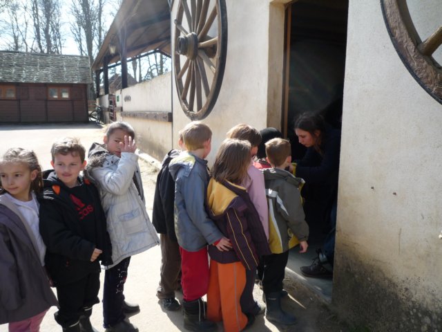 p1000049.jpg