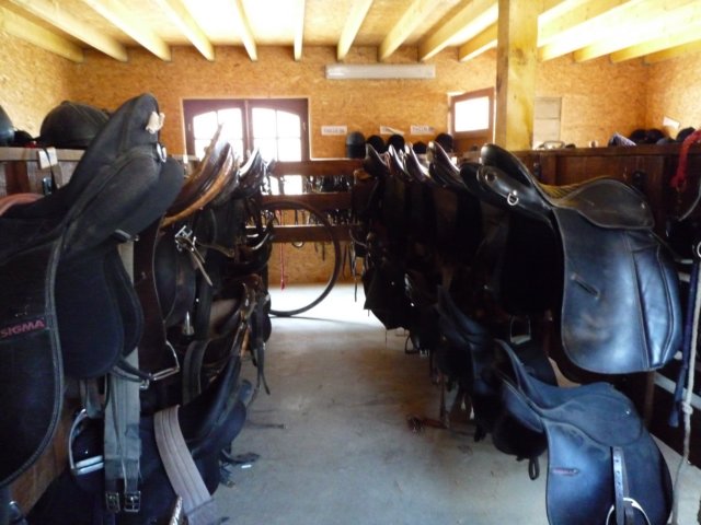 p1000050.jpg