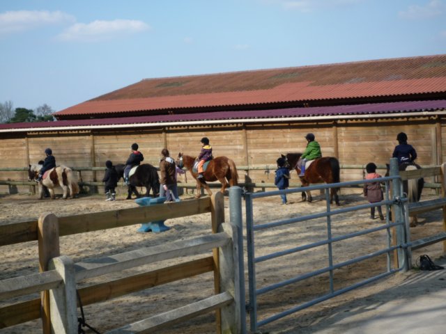 p1000073.jpg