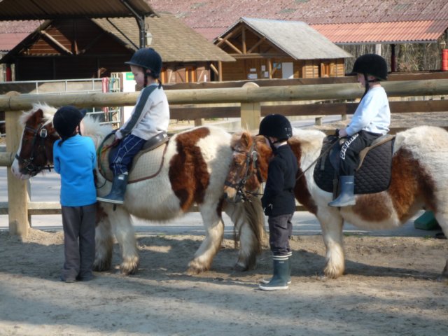 p1000116.jpg