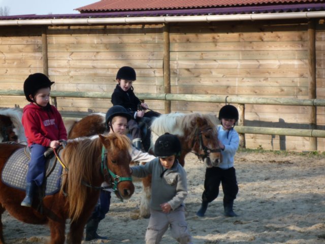 p1000131.jpg