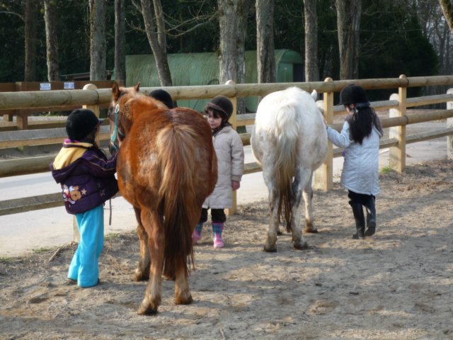 p1000153.jpg