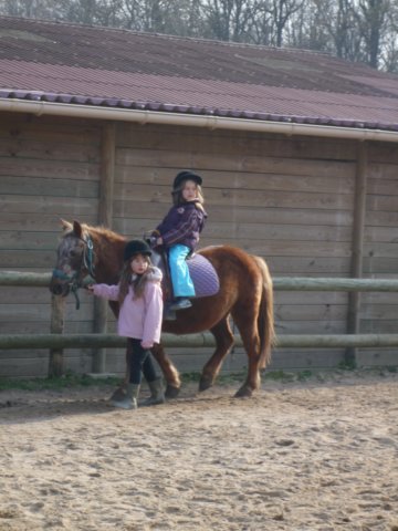 p1000157.jpg