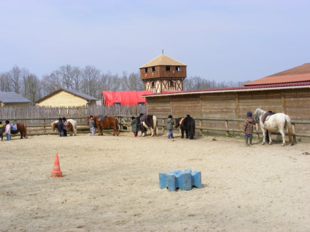 dscf1061.jpg