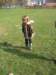 img_0932_small.jpg