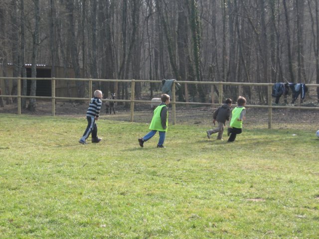 img_0934.jpg