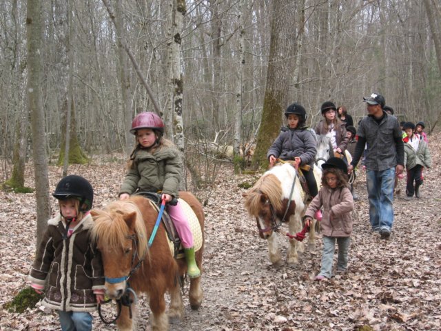img_1016.jpg