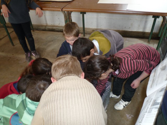 p1000222.jpg