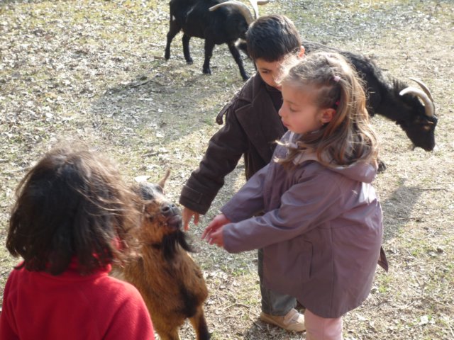 p1000326.jpg