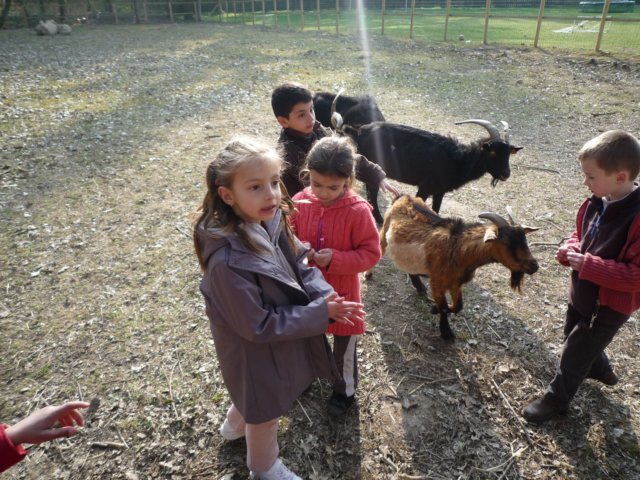 p1000328.jpg