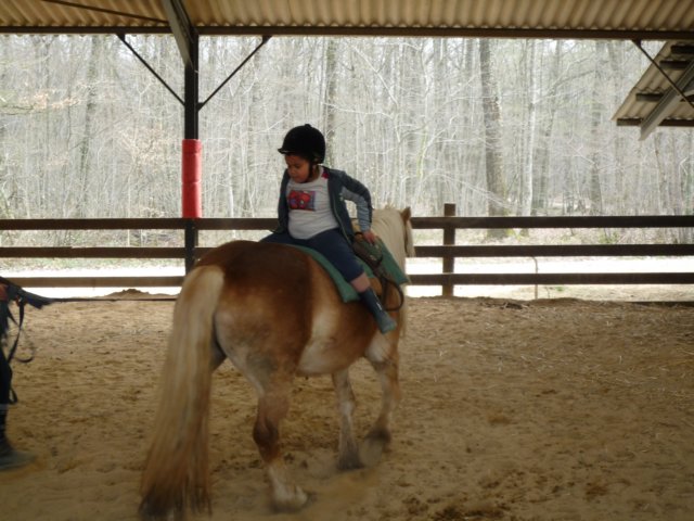 p1000344.jpg