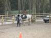 img_0026_small.jpg