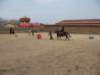 img_2888_small.jpg