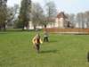 img_2915_small.jpg