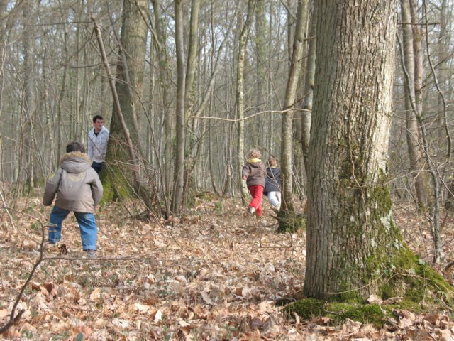 img_2919.jpg