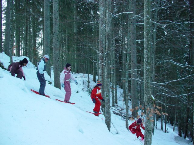 dsc00042.jpg